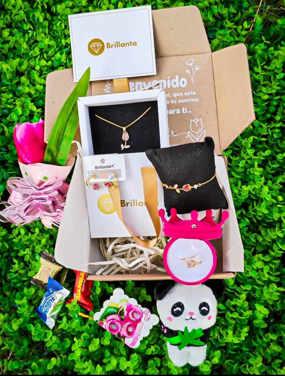 Set Tulipanes Brillanta🌷